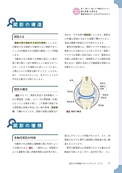 整形外科看護 2024年3月号〈特集〉見て、聞いて、触って→先読み